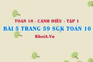 Bài 5 trang 59 SGK Toán 10 tập 1 Cánh Diều